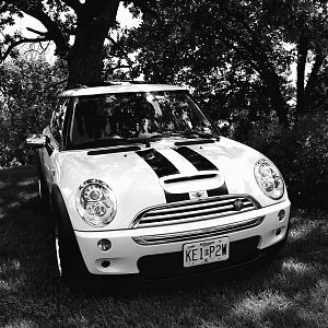 Black & White Pepper White