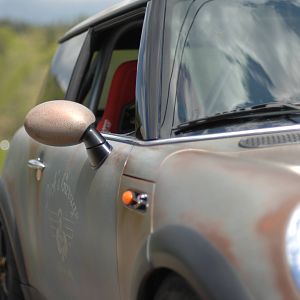 Rat MINI