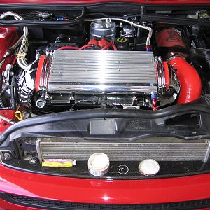 IMG_0951