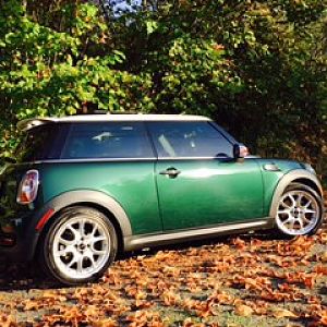 British Racing Green Machine in the Fall Leaves