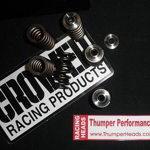 Nitrostick Crower Racing spring kit

8500 PRM upgrade!!  Standard on the TPR-3 Racng Head.

Cost: $385.00