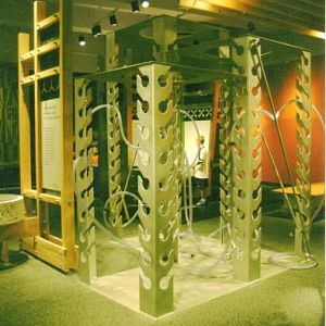 Children's Museum Display013