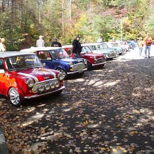 bunch o minis