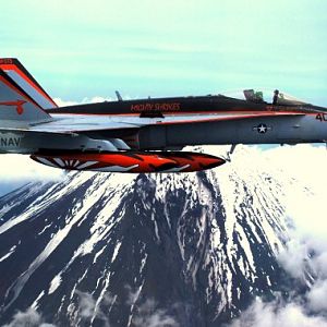Mt. Fuji