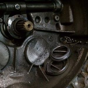 Little baby throw out bearings.