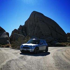 Glow Rock MINI