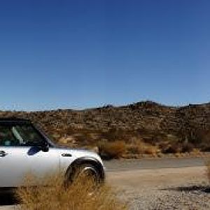 Desert MINI