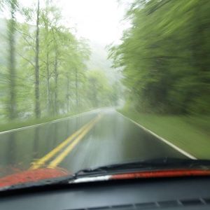 Rain on the Dragon