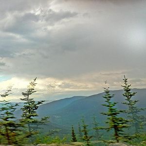 the view