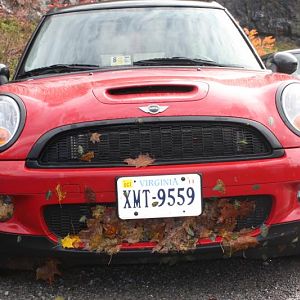 This was from Carmen's first adventure - the Fall Colors Run with the Hampton Roads and DC Metro MINI clubs.
