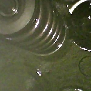 test endoscope picture 004