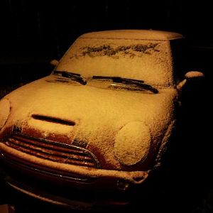 snowy mini