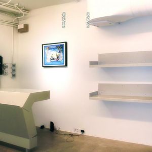 Reception Desk & Shelves 001