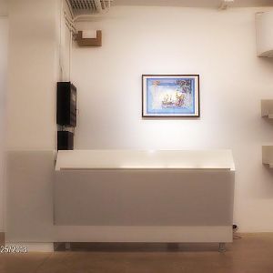 Reception Desk & Shelves 003