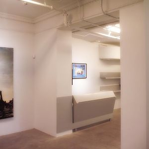 Reception Desk & Shelves 004
