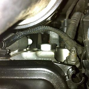 IMG 3502