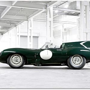 jaguar d type