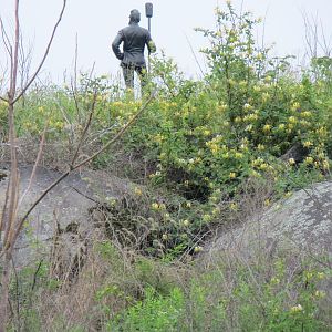 Ready for the charge.  Devil's Den, Gettysburg