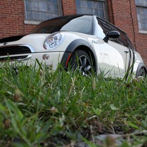 hiding in the grass