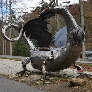 Dragon Photos