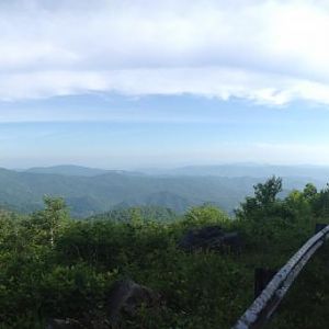 View from Roan Mtn over look, near the top
