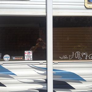 Tribute Window