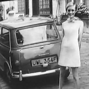 Twiggy