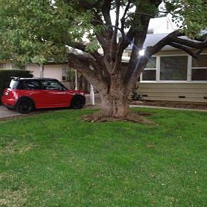 Where I Grew Up... Since my parents are now both gone, and my son has moved on to a place of his own, it's time to move forward and sell after 52 year