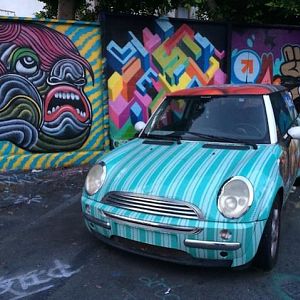 TS MINI