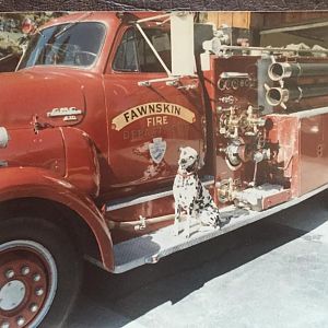 Engine 249 assigned to Station 49, Fawnskin CSD - Big Bear Lake - San Bernardino Unit