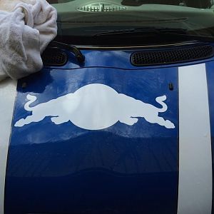 Red Bull Vinyl Application 1