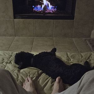 TeddyFireplace
