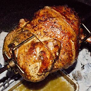 RotoChick2 2016