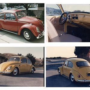 65 Bug