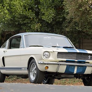 Shelby001 800