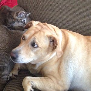 IMG 1179