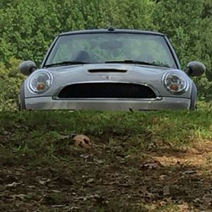 Psst...wanta go for a ride?