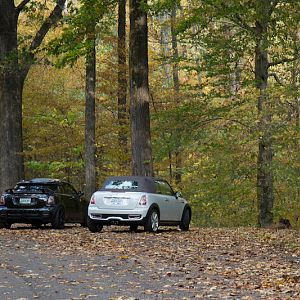 Minis