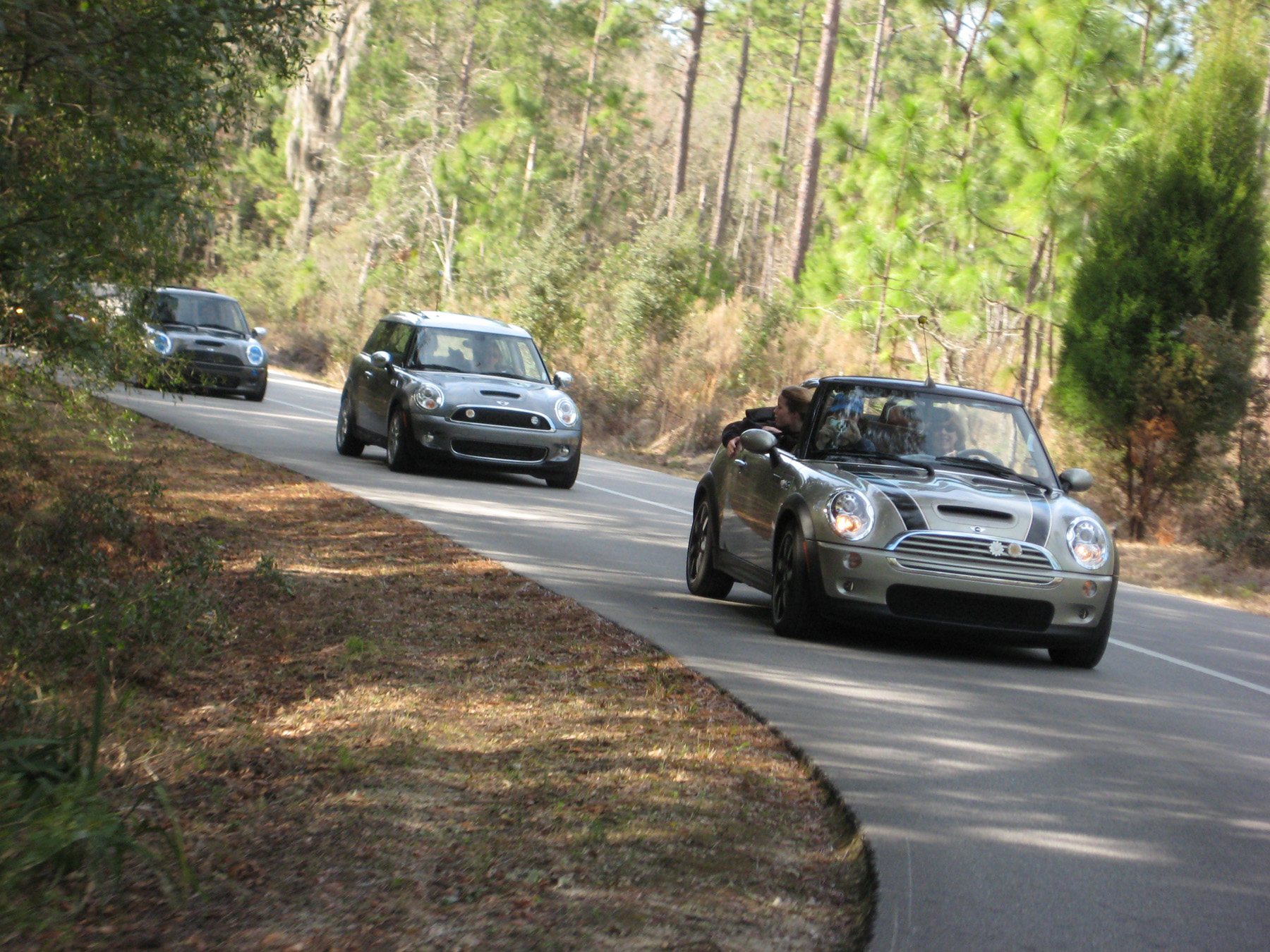 At the Silver River State Park in Ocala