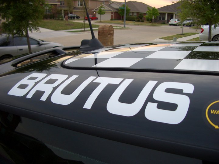 Brutus the mini cooper