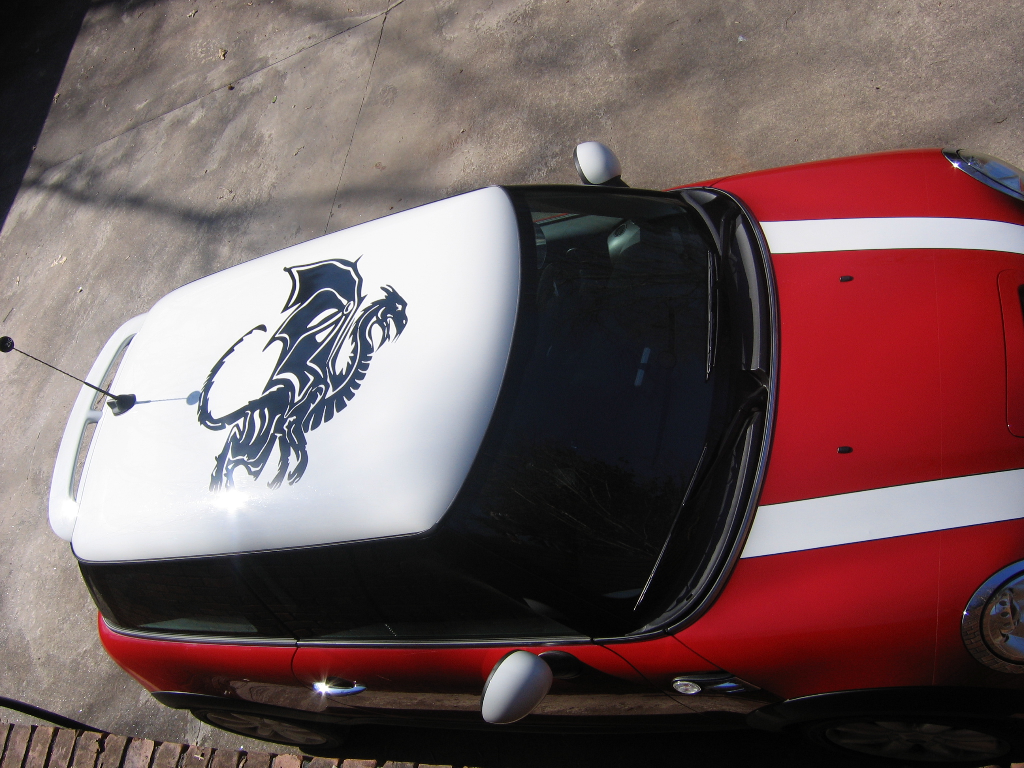 Dragon roof graphic