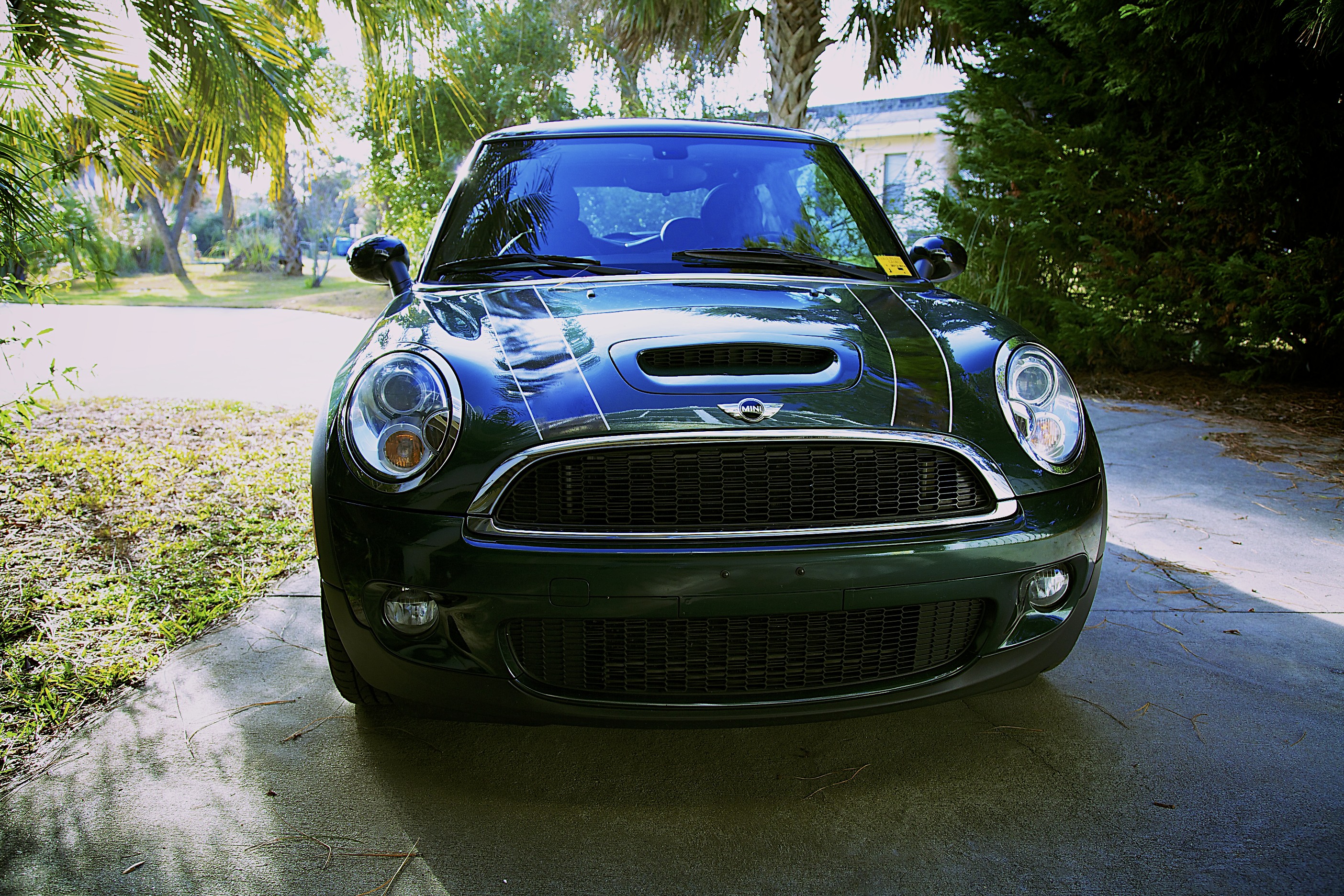 Mr. Green