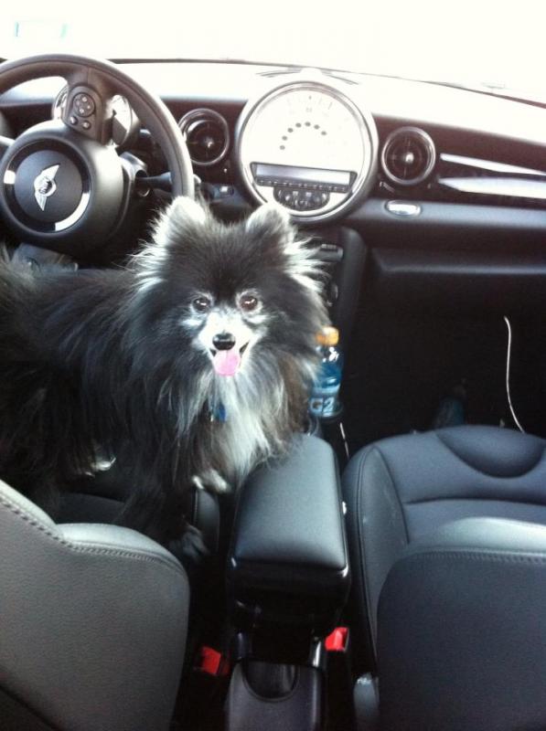 Pepes Driving