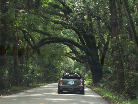 The Ormond Loop