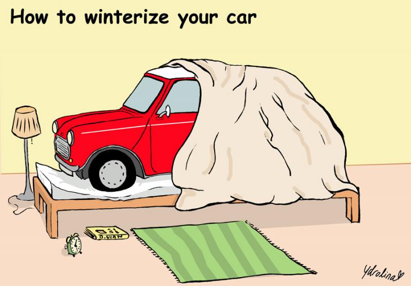 web winterize